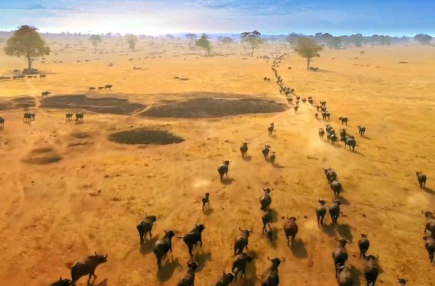 跨越山海来“湘”会