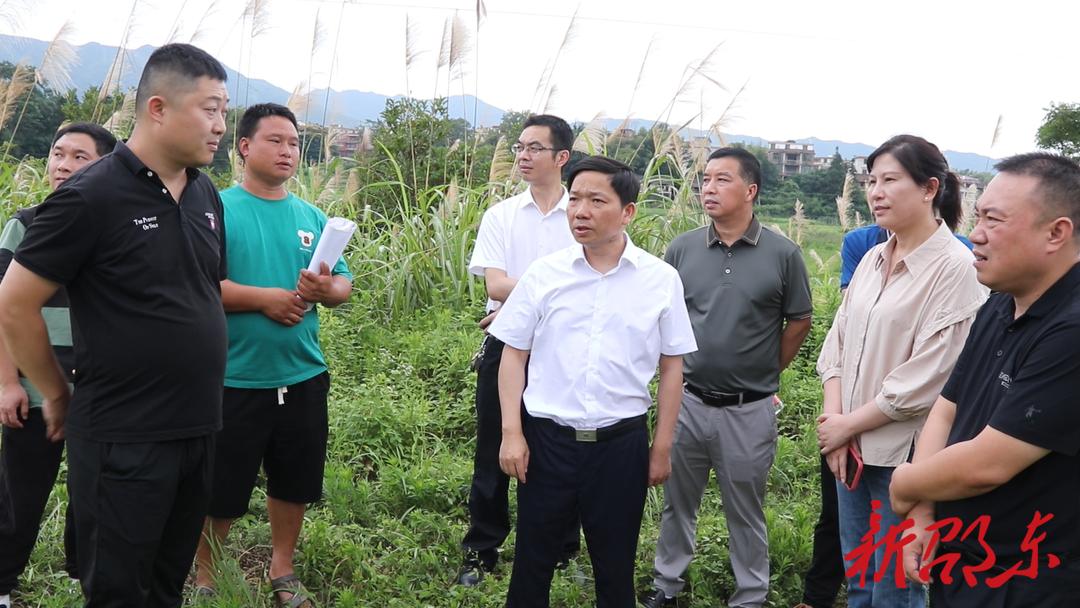 李国军督导突出生态环境问题整改、粮食生产等工作