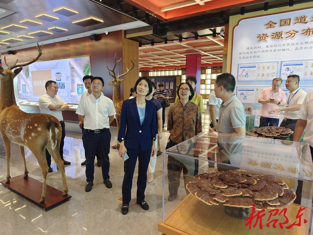 省贸促会来邵东市调研中药材产业发展情况