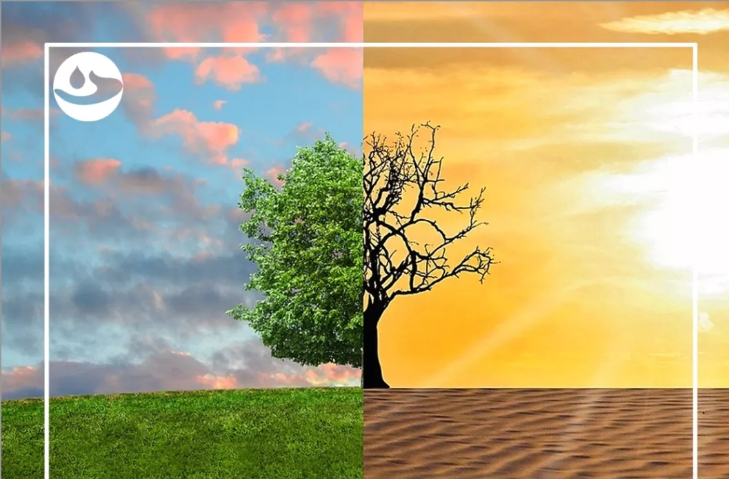 看过这些，每浪费一滴水，都想说声对不起！