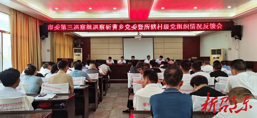 邵东市委第三巡察组向斫曹乡党委反馈巡察情况