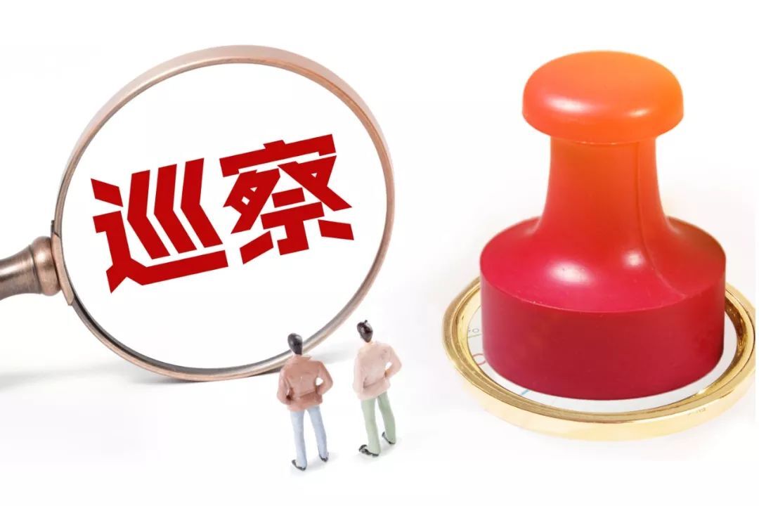 邵东市委第五巡察组向邵东市农业农村局党组反馈巡察情况