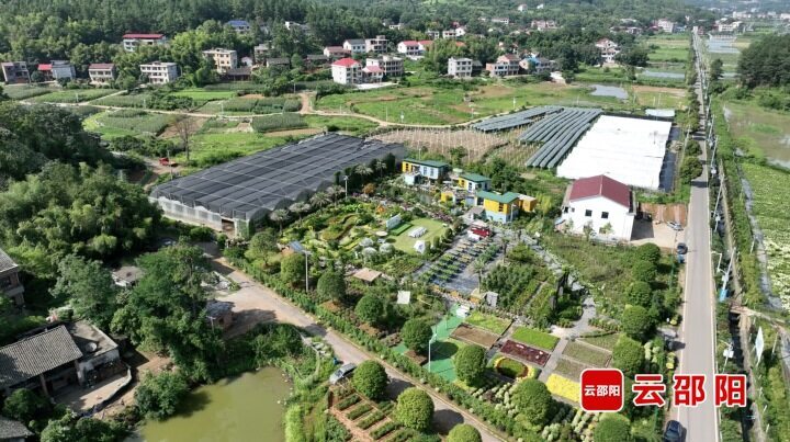 数字兴业 数字治村 数字惠民——大祥区加“数”建设数字乡村纪实