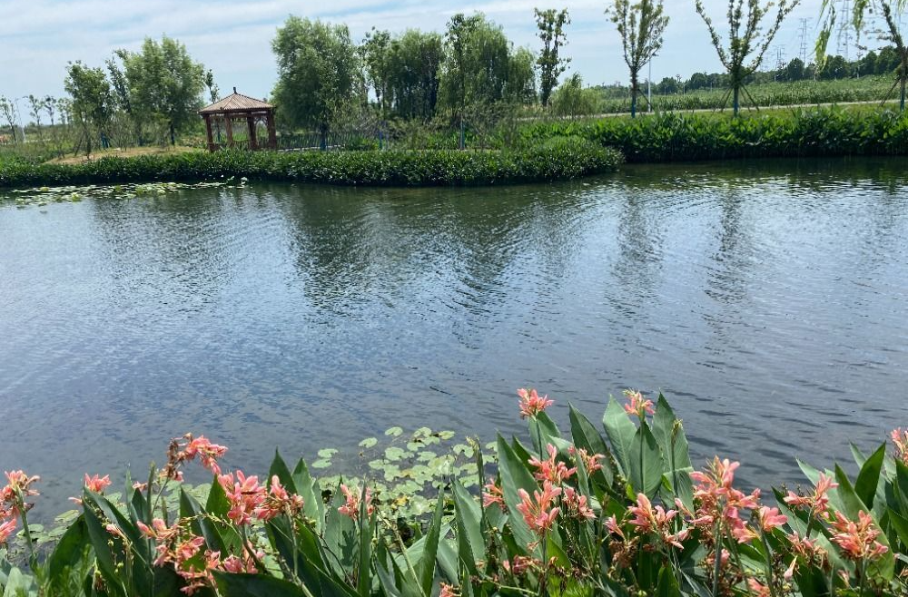 治污减排 河湖重生——洞庭湖总磷浓度呈下降趋势