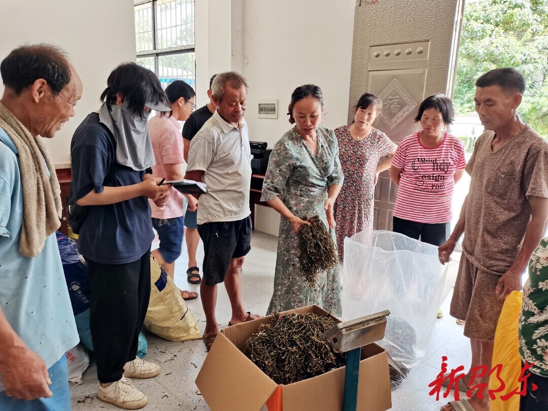 邵东新福村：村干部为民解忧当起“推销员”