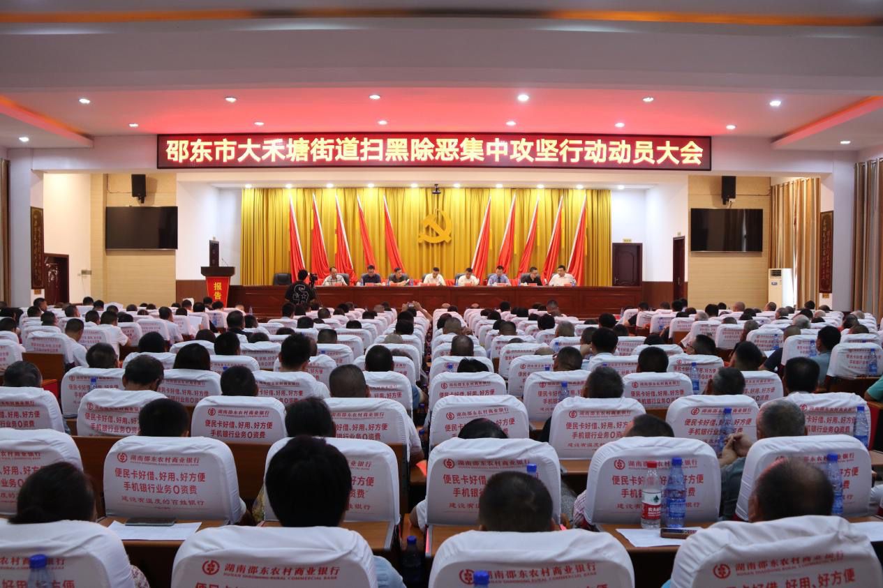 邵东市召开大禾塘街道扫黑除恶集中攻坚行动动员大会
