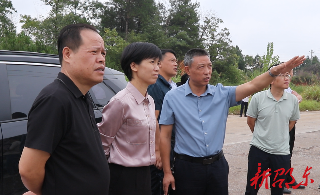 邵东市政协开展“历史遗留废弃矿山生态修复”专项民主监督