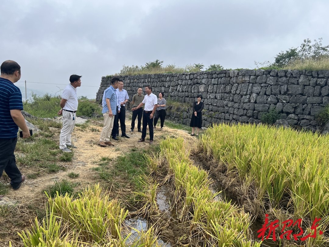 广发银行长沙分行来邵东野鸡坪村调研乡村振兴工作