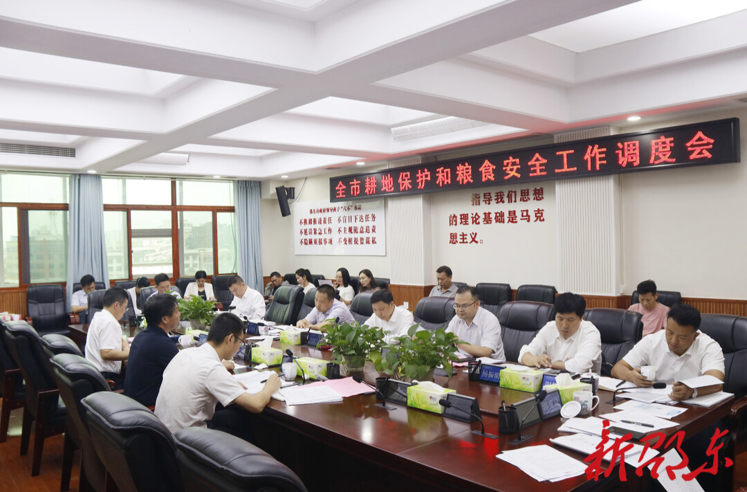 邵东市召开耕地保护和粮食安全工作调度会