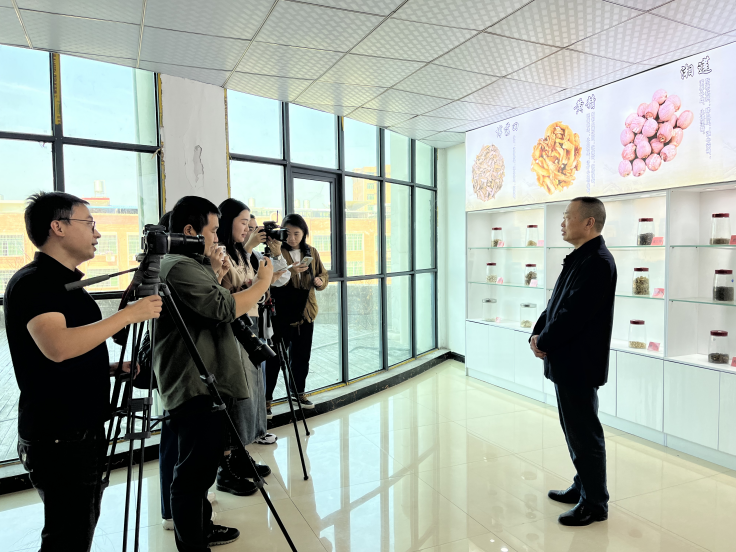 抢先看！记者团走进邵东探访“南国药都”……