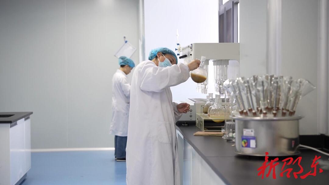 邵东廉桥：药材飘香地生金