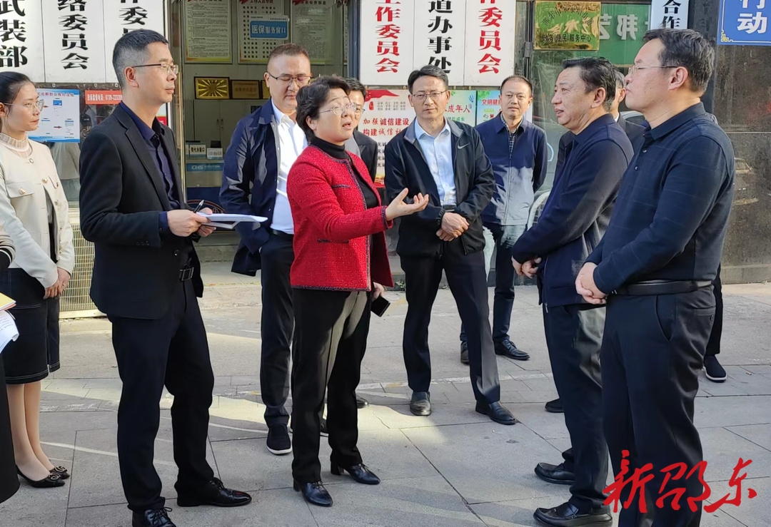 周迎春到邵东市调研人大工作