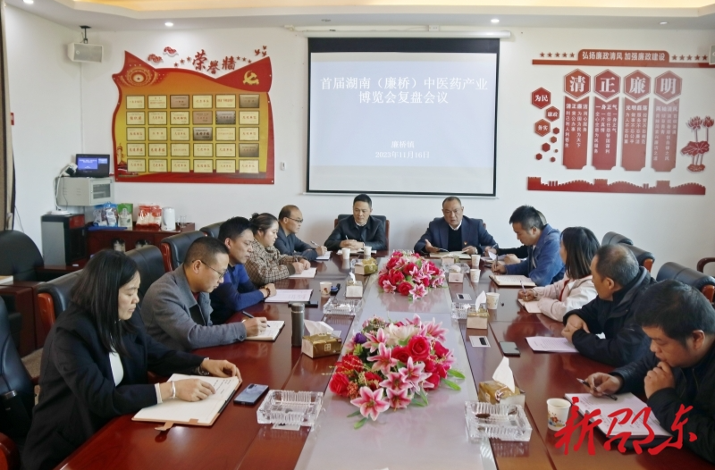 廉桥镇：打造永不落幕“药博会 ” 全力擦亮“南国药都”金招牌