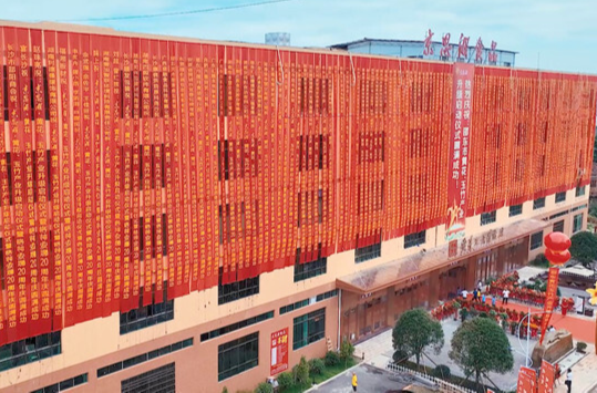 湖南京思湘食品科技有限公司：打响企业品牌 让邵东黄花香飘世界