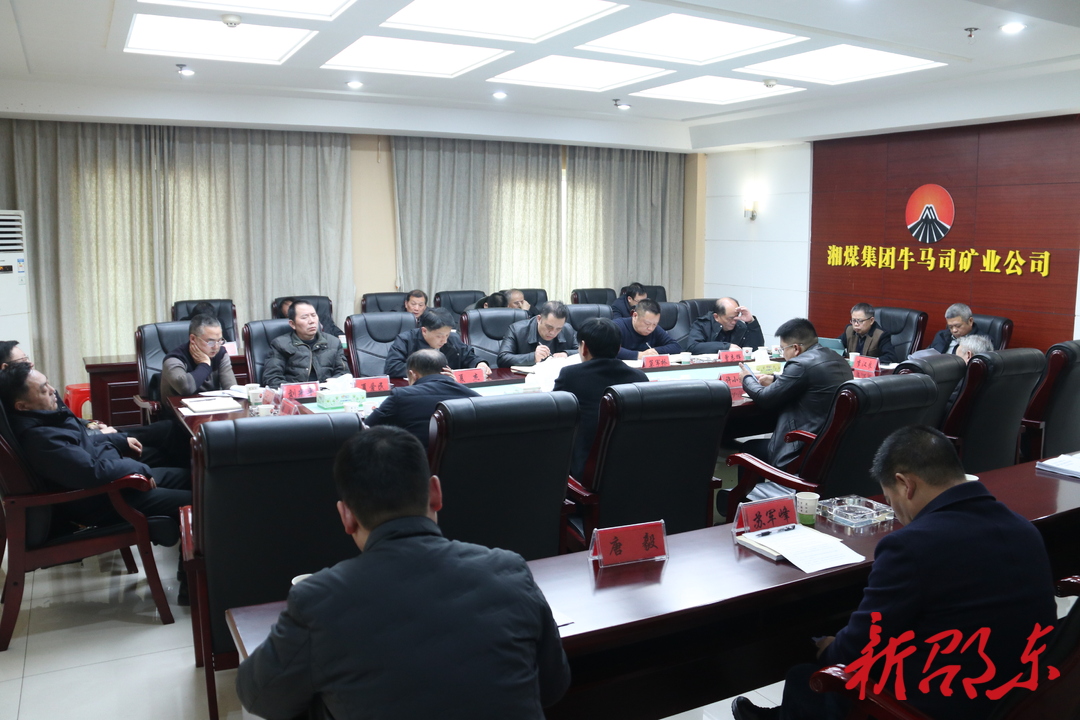 邵阳市应急管理局到牛马司矿业公司检查指导安全生产工作