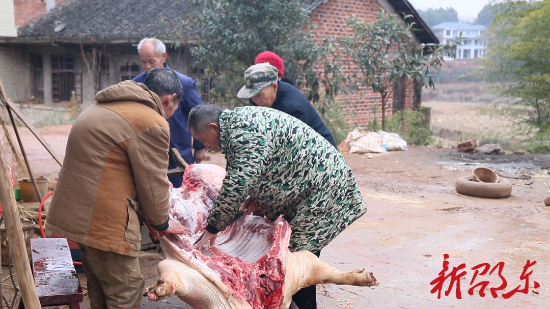 新春走基层|邵东：杀年猪 送温暖 乡村年味别样浓
