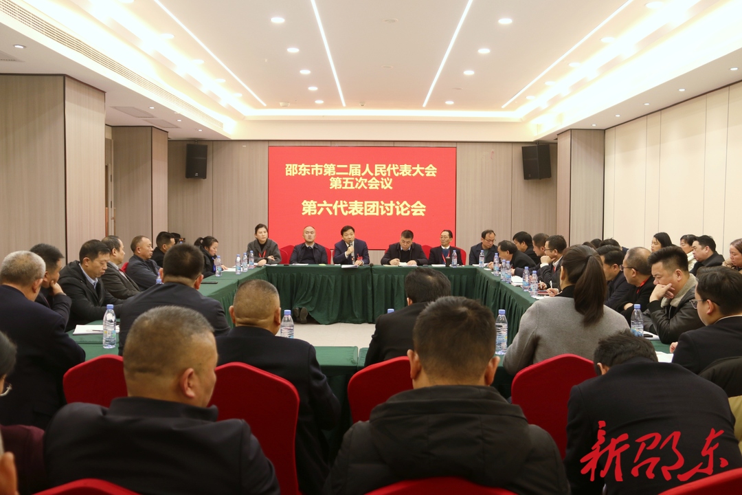 李国军参加邵东市第二届人民代表大会第五次会议第六代表团讨论会