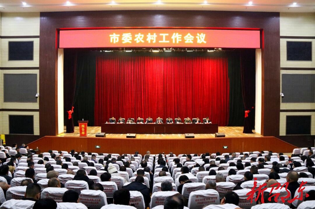 邵东市委农村工作会议召开