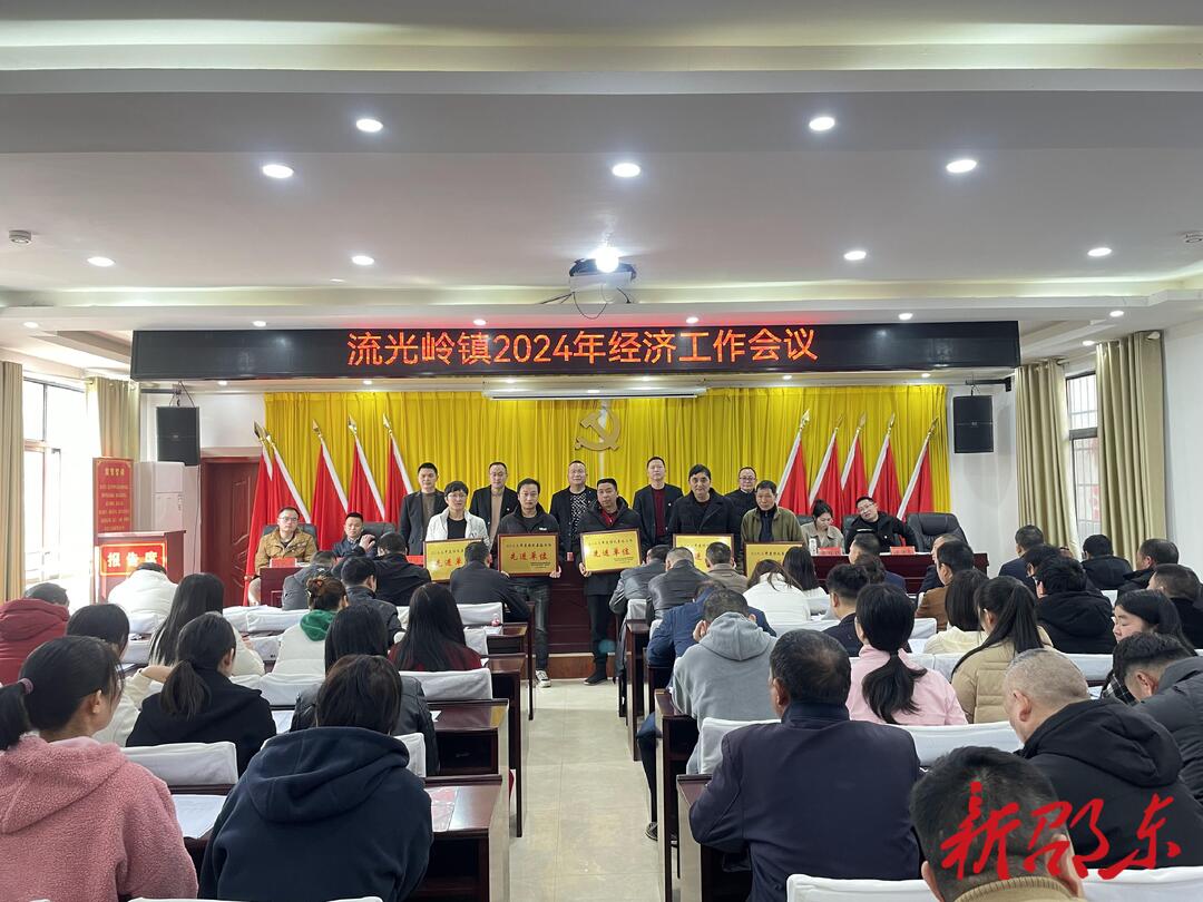 邵东市流光岭镇召开2024年经济工作会议