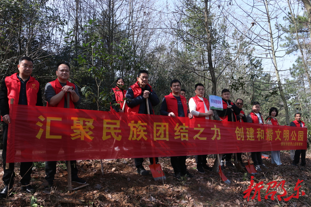 邵东昭阳公园：共植民族团结林 厚植民族团结情