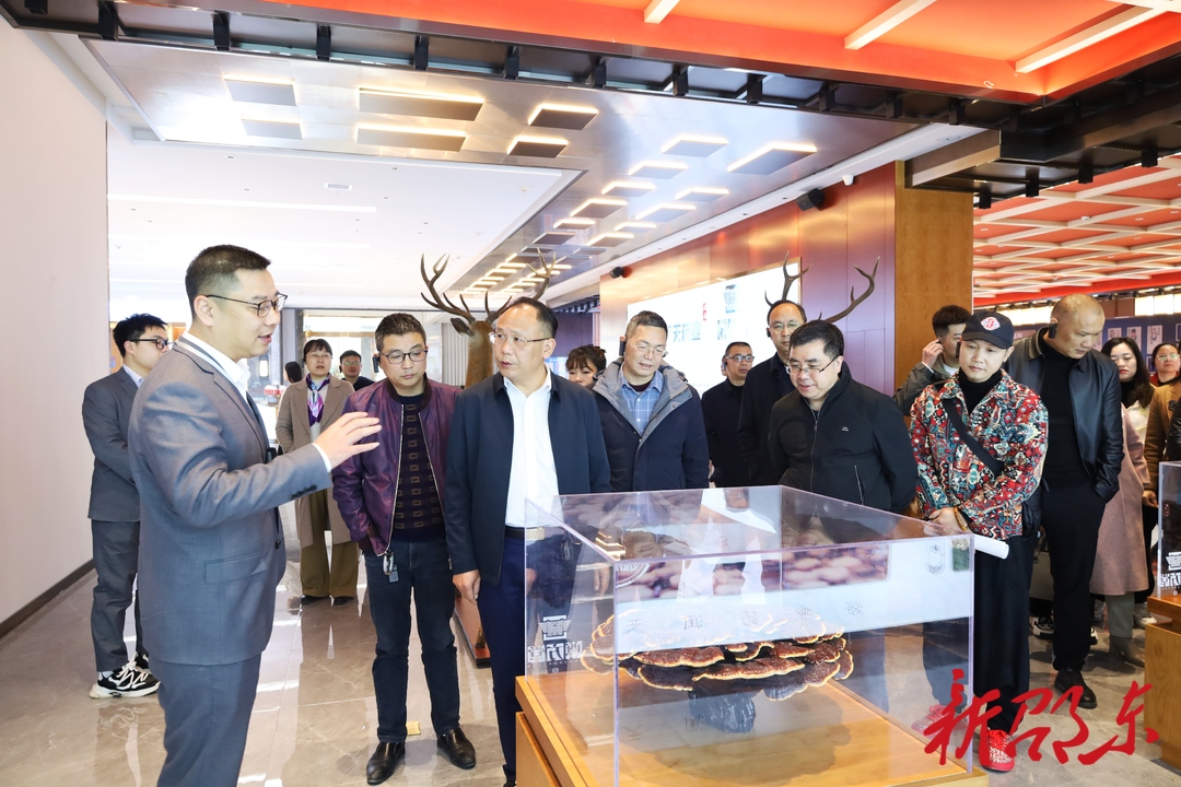 政协邵东市第二届委员会组织委员开展集中视察