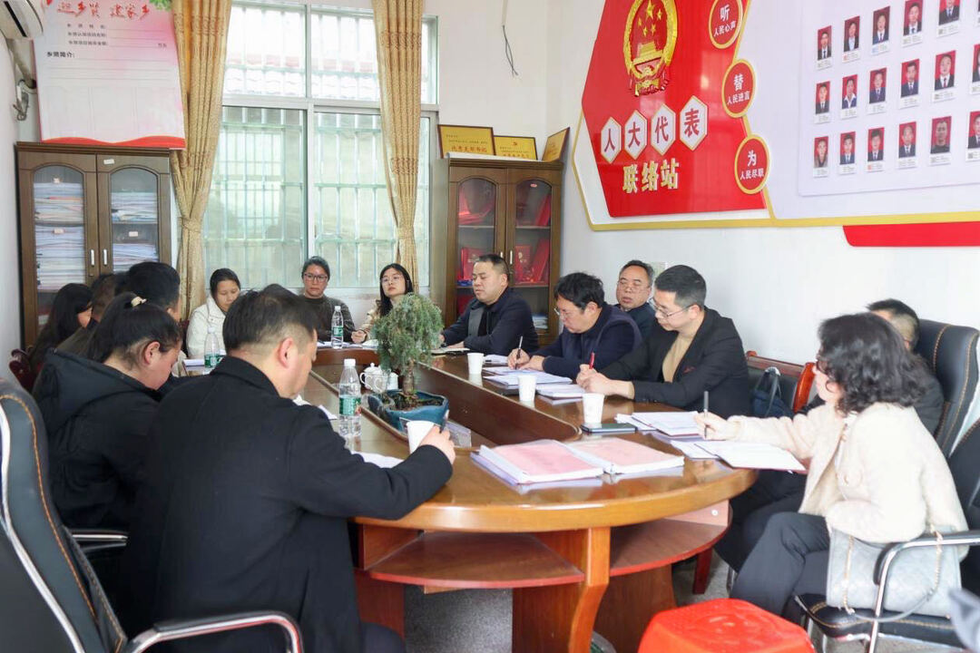 黄负平到水东江镇调研人大代表履职工作