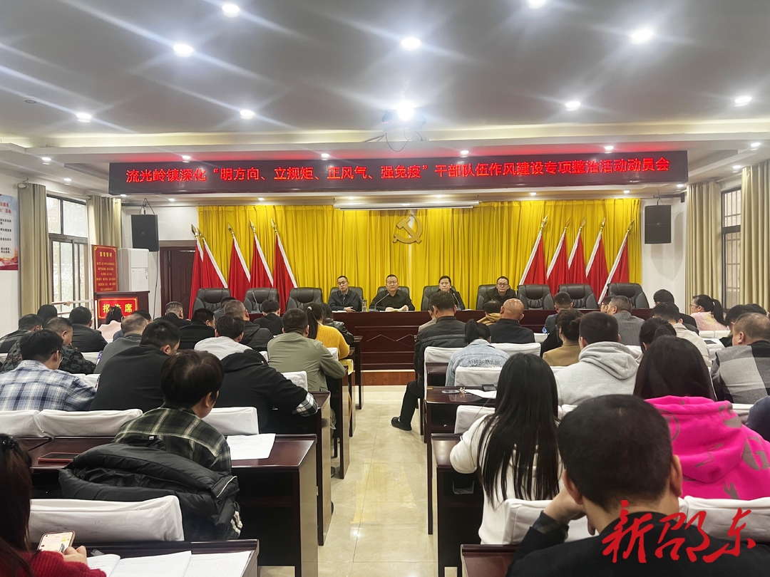 邵东市流光岭镇深化“明方向、立规矩、正风气、强免疫”干部队伍作风建设专项整治活动