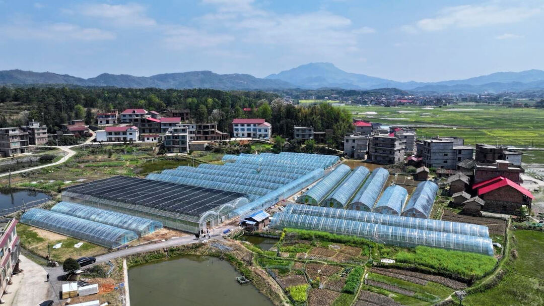 邵东：早稻集中育秧忙 育出春耕“好苗头”