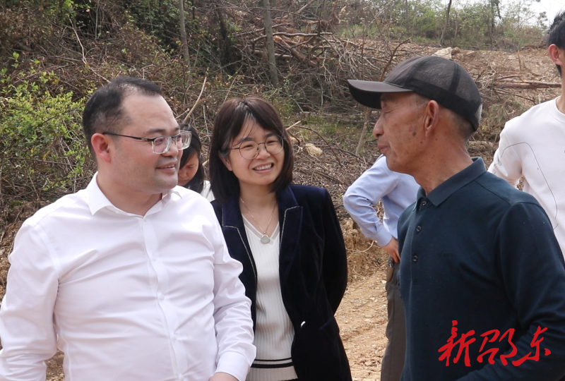 陈业华到仙槎桥镇开展巡库、巡林、巡田、巡路工作