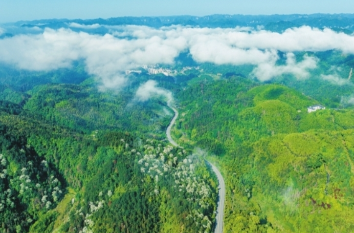 云雾漫青山