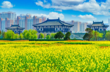 河南洛阳：靠传统聚“文气”“商气”“人气”