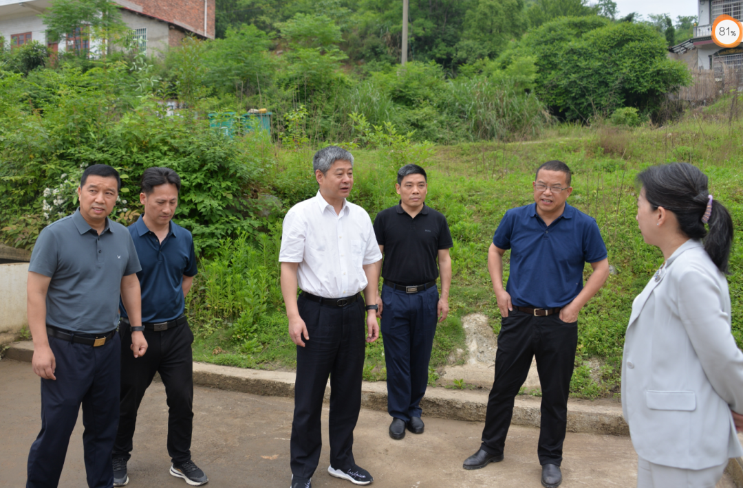 严华在邵东市督导中央生态环境保护督察交办件办理等工作