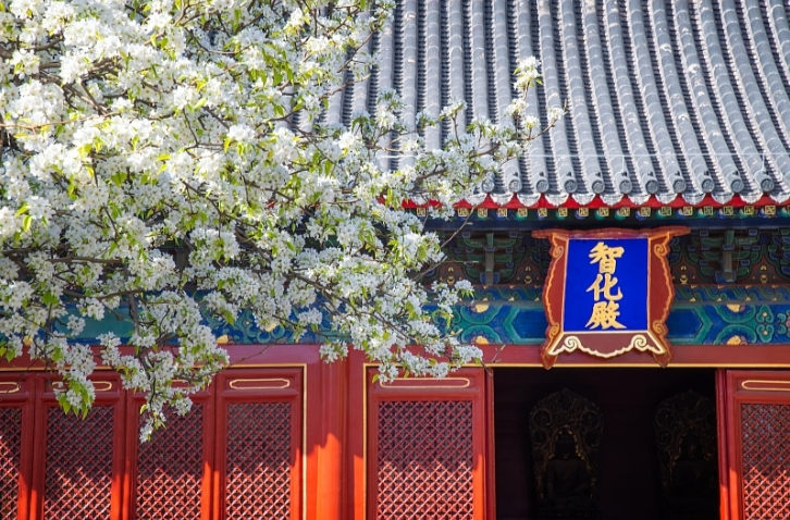 古建里的小众博物馆走红