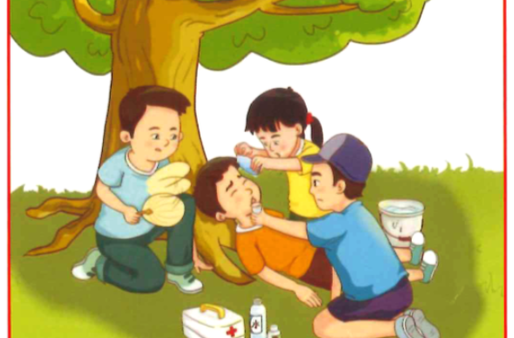 如何应对高温和干旱，这份指南请收好！