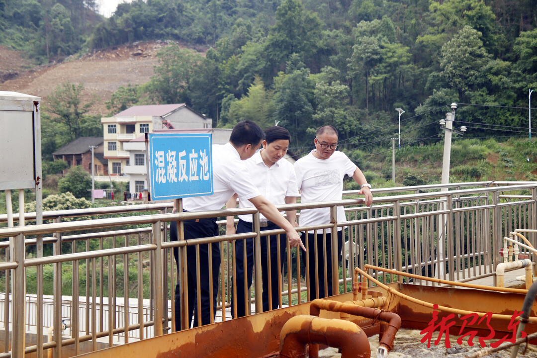 李国军到流泽镇、九龙岭镇督导生态环境突出问题整改工作