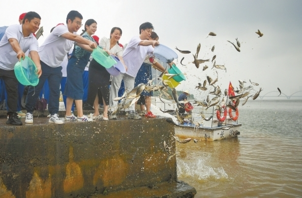 小鱼治水