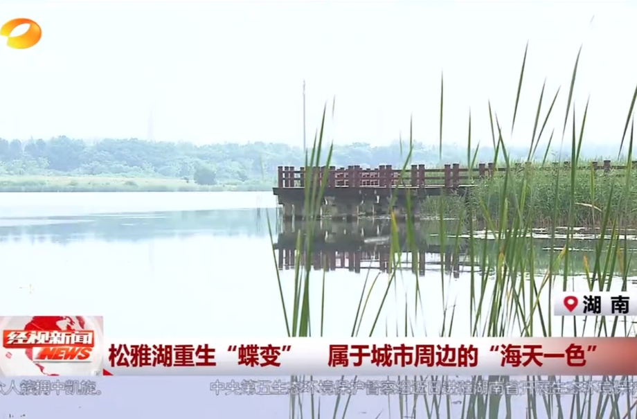 松雅湖重生“蝶变”属于城市周边的“海天一色”