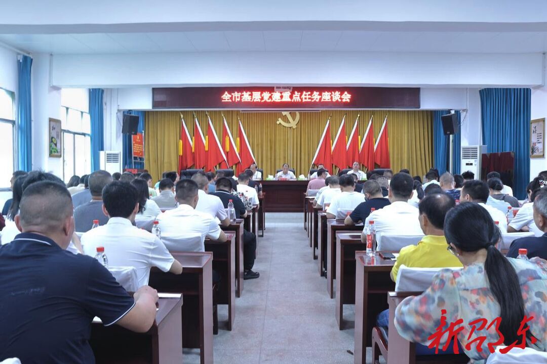 邵东市召开2024年第二季度基层党建工作重点任务现场交流推进会