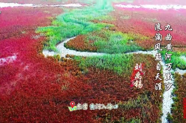 文化中国行|跟随古诗词游历齐鲁山水