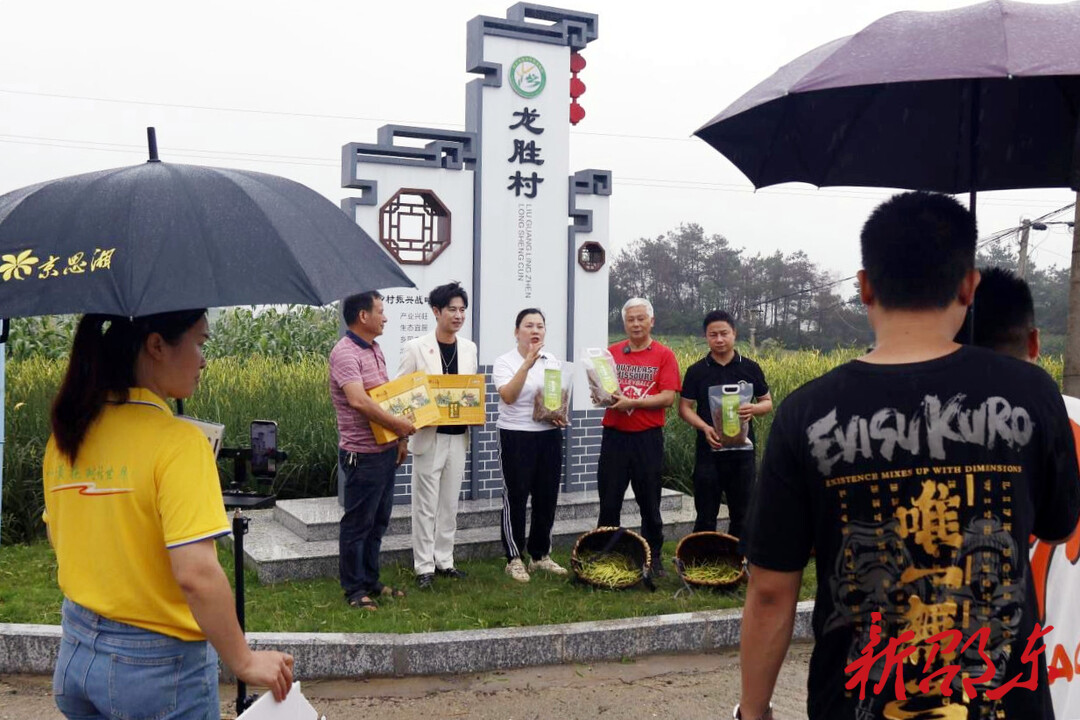 邵东：举行“电商推动——小黄花、大产业”黄花菜电商义卖活动