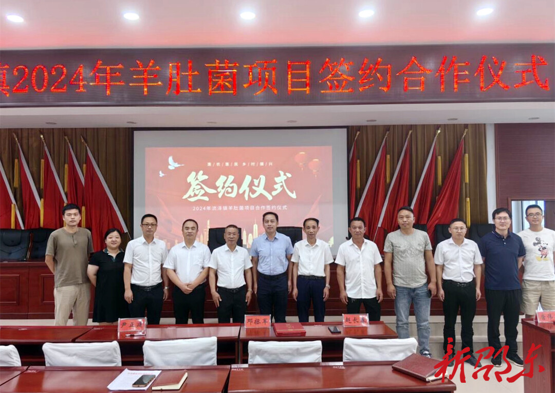 村企携手 合作共赢  邵东市流泽镇羊肚菌项目成功签约