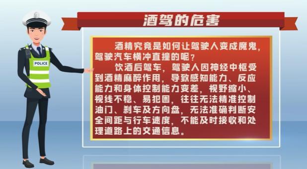 以案释法 酒驾醉驾的违法成本到底有多大？