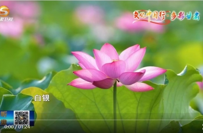 文化中国行|多彩甘肃：陇原夏日美如画