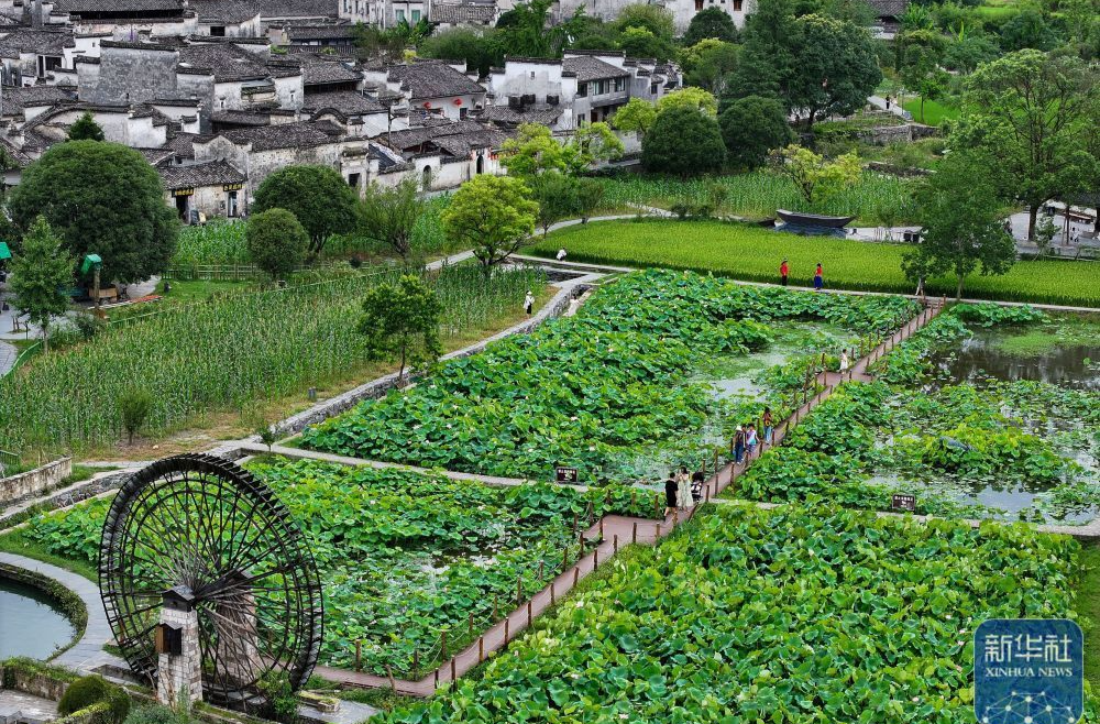 文化中国行|安徽黟县：夏日古村乐游人