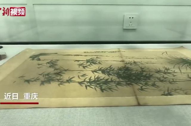 重庆科研团队为馆藏文物虫霉病害防治出“妙招”