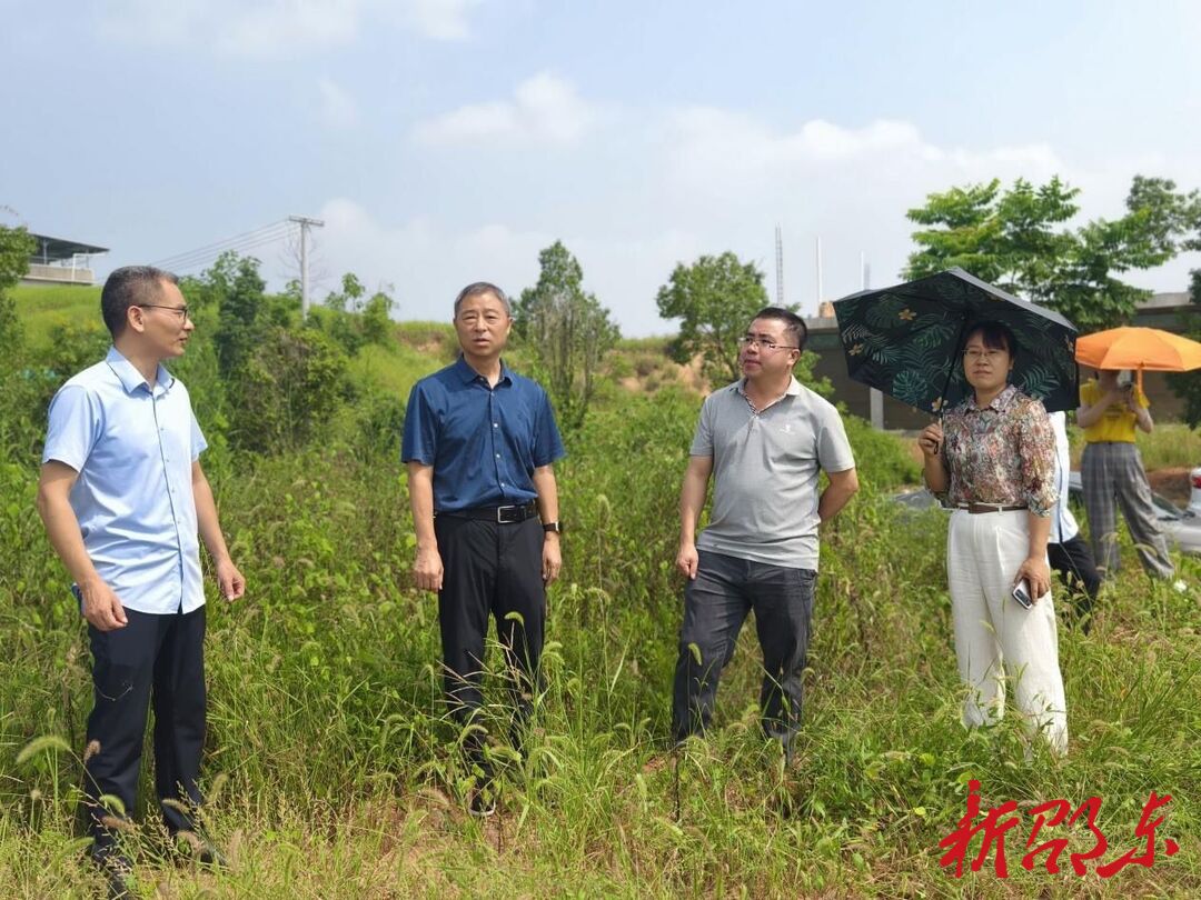 邵东市政协领导带队督办重点提案办理工作