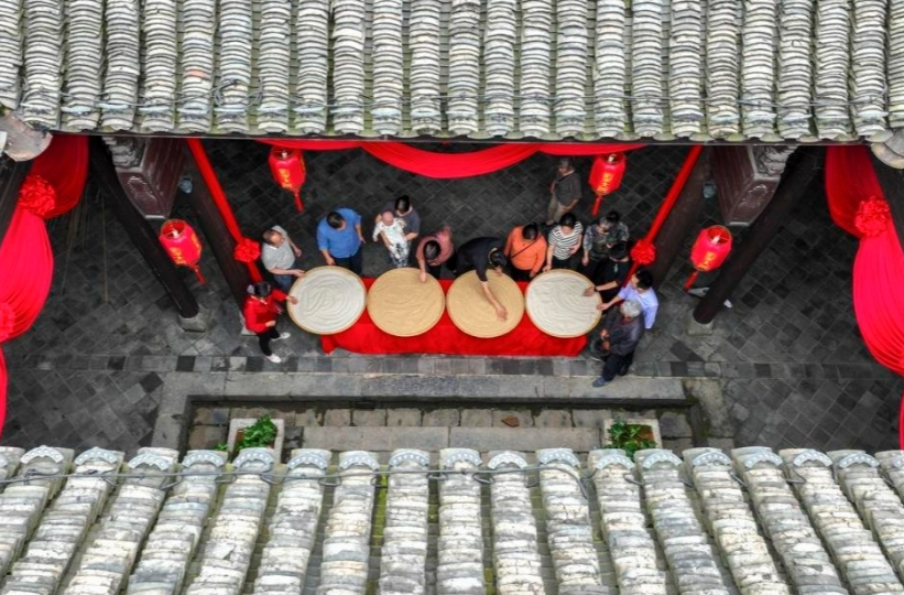 大雁为何眷恋这座城