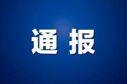 中共邵东市司法局党组关于巡察整改进展情况的通报