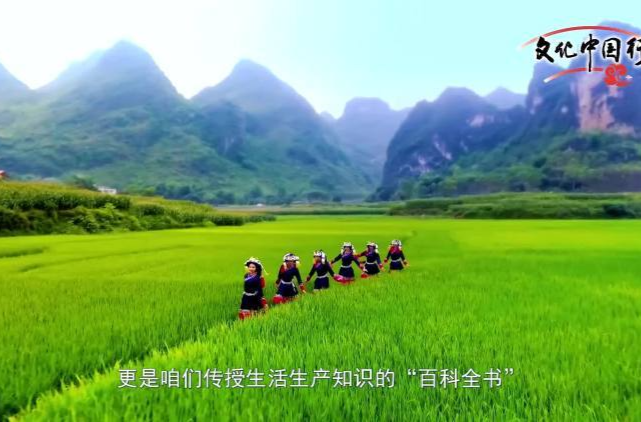 文化中国行|广西南宁：方志新语之嘹啰山歌