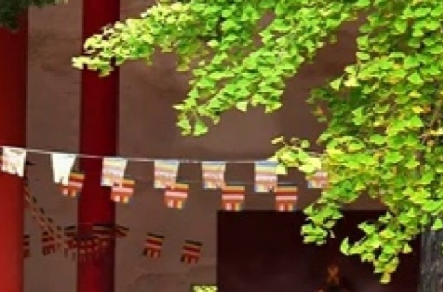 文化中国行|安徽宿州：在老海寺 共赴千年之约